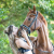 Agnes en Fay