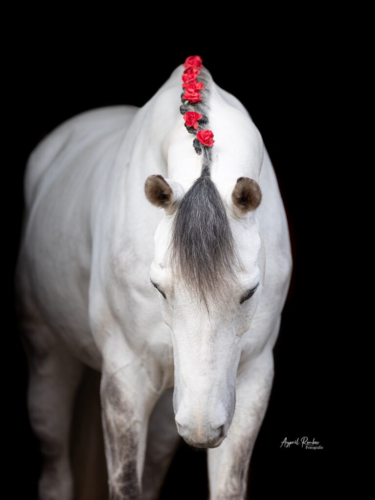 Instagram post from ayprilroubosfotografie. This post is in position 1.