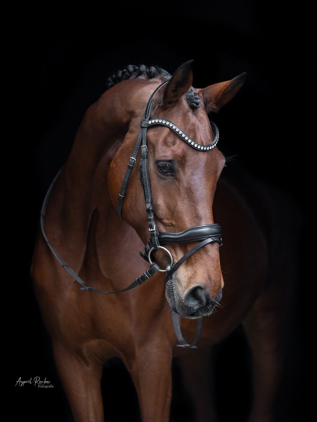 Instagram post from ayprilroubosfotografie. This post is in position 1.