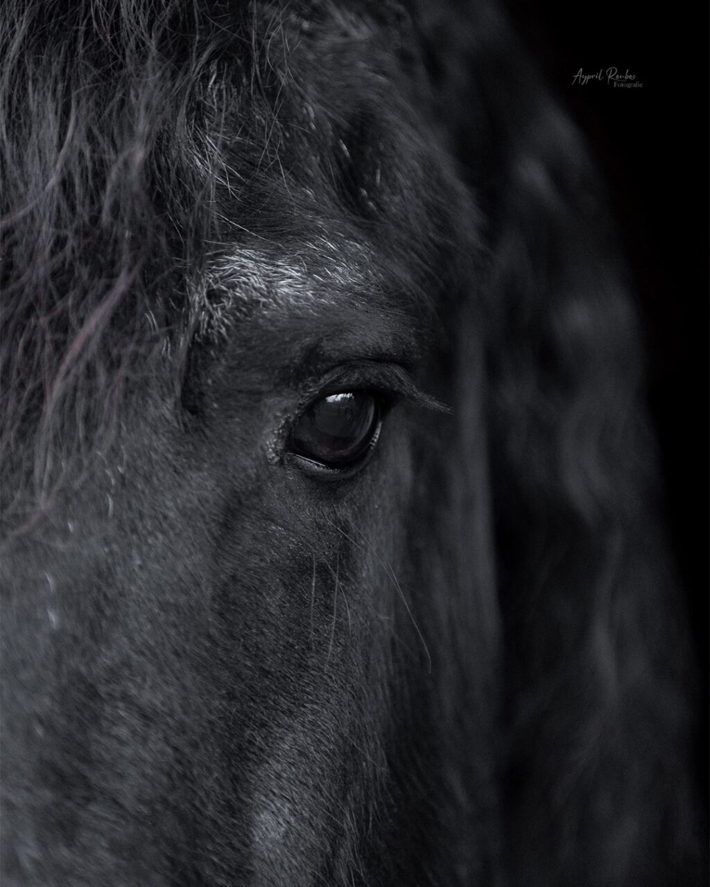 Instagram post from ayprilroubosfotografie. This post is in position 1.