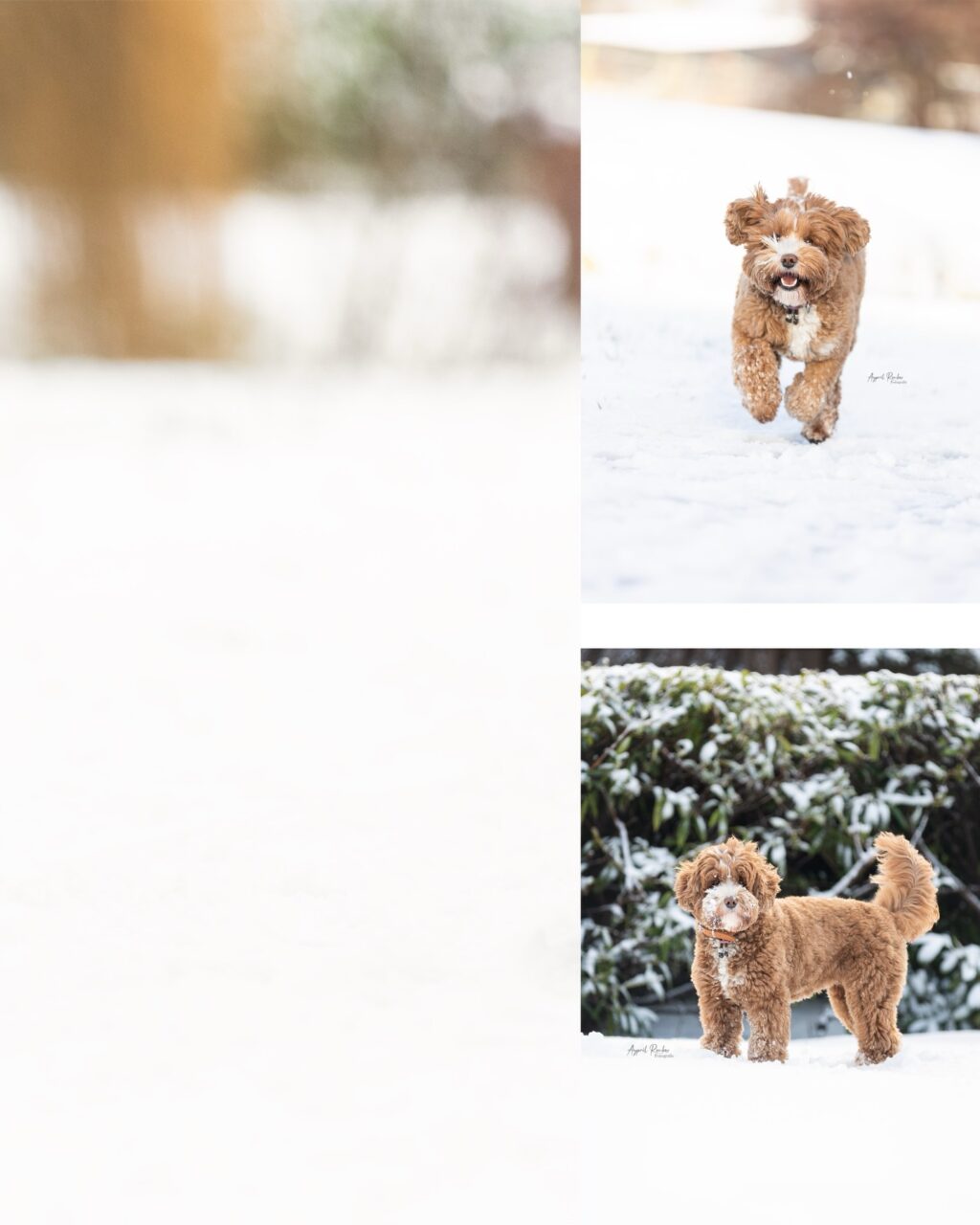 Instagram post from ayprilroubosfotografie. This post is in position 6.