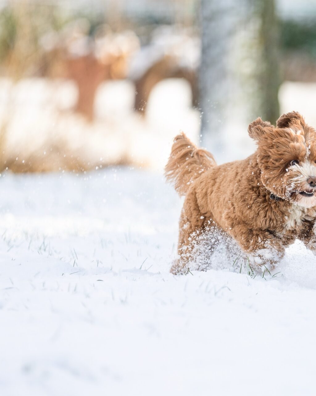 Instagram post from ayprilroubosfotografie. This post is in position 1.