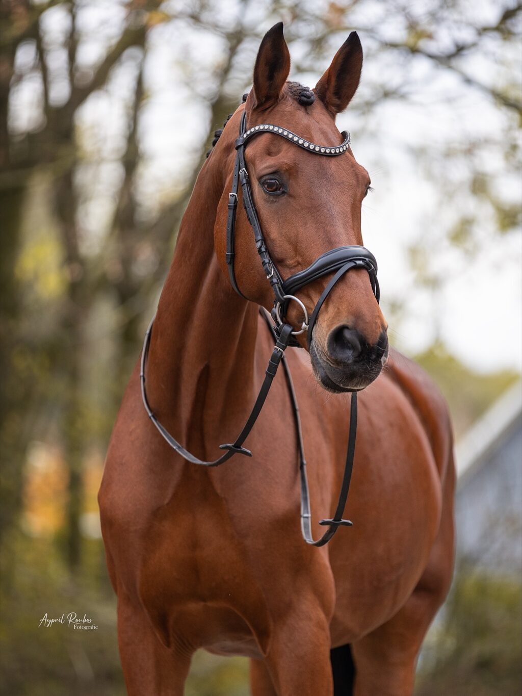 Instagram post from ayprilroubosfotografie. This post is in position 0.