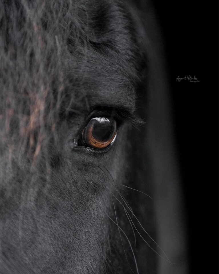 Instagram post from ayprilroubosfotografie. This post is in position 3.